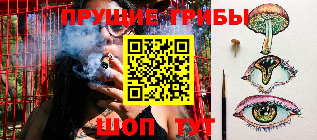 Карпинск  Галлюциногенные грибы Cubensis  Вход с VPN 